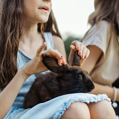 科学上网的全面指南：如何有效进行科学上网